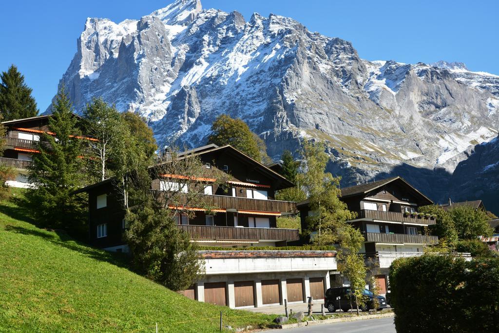 Apartment Schoenegg - Griwa Rent Ag Grindelwald Kültér fotó
